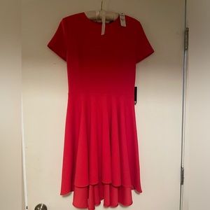NWT Express knee length dress